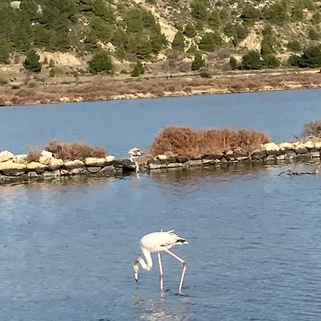 度假居 Chez Les Brocs *