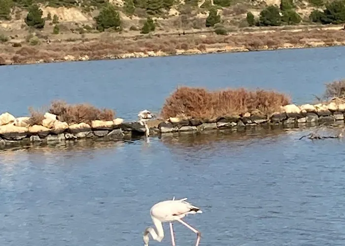 Ferienhaus Chez Les Brocs *